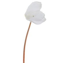 86236-0 Cyclamen BAL./20CM LAT X12 - FLORASYSTEM