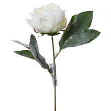 KS pivoňka zasněžený 32cm - FLORASYSTEM