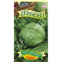 SALÁT LEDOVÝ Pražan 0,7g - ZELSEED | FLORASYSTEM