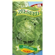 SALÁT JARNÍ KRÁL KVĚTNA I. 0,7g - ZELSEED | FLORASYSTEM