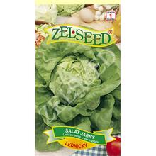 SALÁT JARNÍ Lednický 0,7g - ZELSEED | FLORASYSTEM