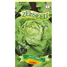 SALÁT ZIMNÍ humilis 0,7g - ZELSEED | FLORASYSTEM