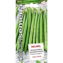 FAZOLE ZAHRADNÍ křičí. ZEL. Delin 10g - FLORASYSTEM