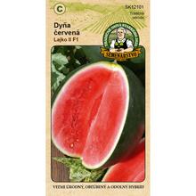 Dyna ČERVENÁ lajka II F1 0,9g - Tradičné osivá starkého JOJA | FLORASYSTEM