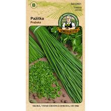Pažitka PRAŽSKÁ 3g - FLORASYSTEM