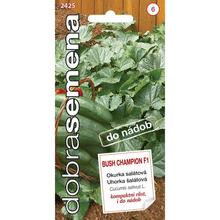 Okurky BUSH CHAMPION 10S - FLORASYSTEM