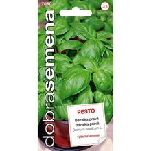 BAZALKA PRAVÁ - PESTO 0,3g - DOBRÁ SEMENA | FLORASYSTEM