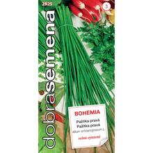 Pažitka PRAVÁ BOHEMIA 2g - FLORASYSTEM