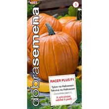 DÝNĚ NA HALLOWEEN RACER PLUS F1 7s - DOBRÁ SEMENA | FLORASYSTEM