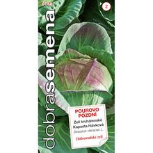 ZELÍ HL. Dobrá. Pourová pozdní 0,8g - DOBRÁ SEMENA | FLORASYSTEM