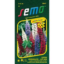 Lupina SMĚS BAREV 1,5g - FLORASYSTEM
