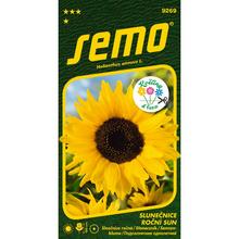 SLUNEČNICE ROČNÍ SUN 2G - FLORASYSTEM