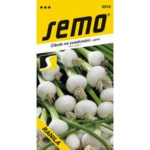 CIBUĽA RANILA - biela, jarná, zväzk. 1,5g - SEMO | FLORASYSTEM