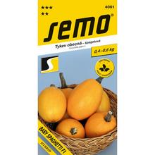 TEKVICA BABY SPAGHETTI F1 1,4g - SEMO | FLORASYSTEM