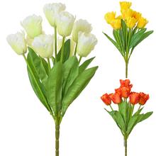 KYTICE TULIPÁN MIX 4FARIEB - FLORASYSTEM