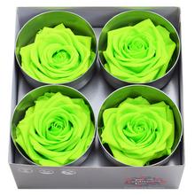 Ruža preparovaná 7/8cm LIME GREEN /ks - bal. 4 ks - FLORASYSTEM