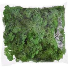 Mach prepar. MOSS GREEN/ 250 g - Foto0