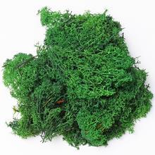 Mach prepar. MOSS GREEN/ 250 g - mach | FLORASYSTEM