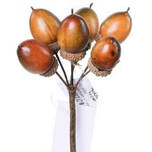 ZVÄZOK ŽALUDE S/6 L:11CM - Plody podzimní | FLORASYSTEM