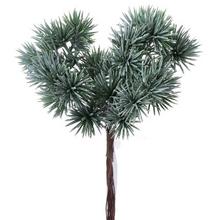 ČEČINA ZÁPICH OSNEŽ. 14cm - FLORASYSTEM