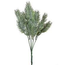 ZELEŇ Cecina 33cm - FLORASYSTEM
