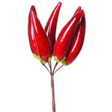 Papričky svazek S / 6 - Plody podzimní | FLORASYSTEM