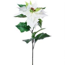 POINSETTIA 72cm CR-01 BÍLÁ - Ks květ vánoční | FLORASYSTEM
