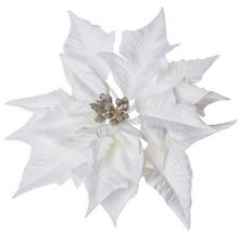 POINSETTIA KRÉM.ZLATÁ CLIP 20CM - FLORASYSTEM