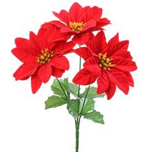 KYTICE POINSETTIA ČERVENÁ X3 - FLORASYSTEM