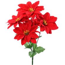 KYTICE POINSETTIA ČERVENÁ X5 - FLORASYSTEM