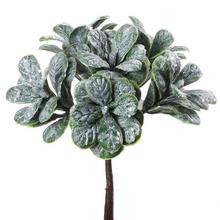 větvička zeleň - Zeleň vánoční | FLORASYSTEM