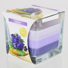 VOŇ.V SKLE TRIKOLÓRA FIALKA/snk80-131 170GR - FLORASYSTEM