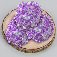 Květ voskový - Hlavovina | FLORASYSTEM