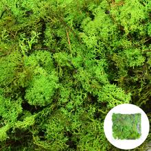 Mach prepar. APPLE GREEN 250 g - mach | FLORASYSTEM