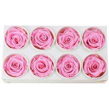 Ruža preparovaná 5cm BRIDAL PINK /ks - bal. 8 ks - FLORASYSTEM