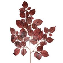 Větve FICUS ČERVENÝ 56cm - FLORASYSTEM