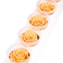 Ruža preparovaná 6,5cm PERFECT PEACH /ks - Růže | FLORASYSTEM