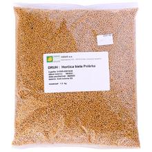 Horčica biela 1kg / Polarka,Andromeda/ - Zelené hnojení | FLORASYSTEM
