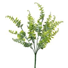 ZÁPICH PAPRAĎ ZELENÁ 40CM - List | FLORASYSTEM