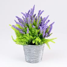 LEVANDUĽA V ČREPNÍKU FIALOVÁ PRIEM:8CM, V:20CM - FLORASYSTEM