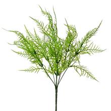 ZÁPICH PAPRAĎ 35CM - List | FLORASYSTEM