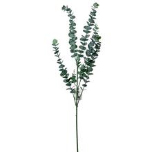 KONÁR EUCALYPTUS ZELENÝ 86CM - FLORASYSTEM