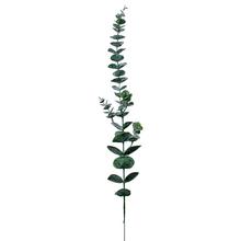 KS EUCALYPTUS 69CM - List | FLORASYSTEM