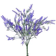 KYT. LEVANDULE FIALOVÁ - FLORASYSTEM