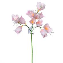 KS ZVONEK rtěnku. 35cm - FLORASYSTEM