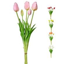 KYTICA TULIPÁN ZVAZ. 47CM MIX5F - Tulipán | FLORASYSTEM