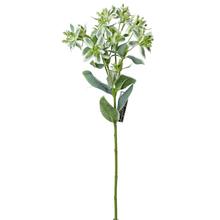 ZELEŇ pryšec 47cm - Zápich zeleň | FLORASYSTEM