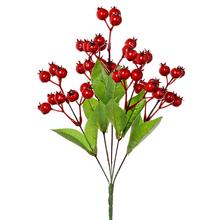 ZELEŇ ŠÍPKY ČERV. 35CM SUPER CENA!  - FLORASYSTEM