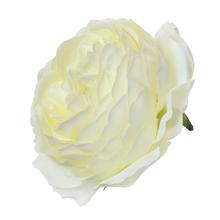 HLAVA RUŽA BIELA P:7CM BAL:48KS - Růže | FLORASYSTEM