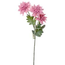 KS DAHLIA 48CM RUŽ - Gerbera, jiřina | FLORASYSTEM